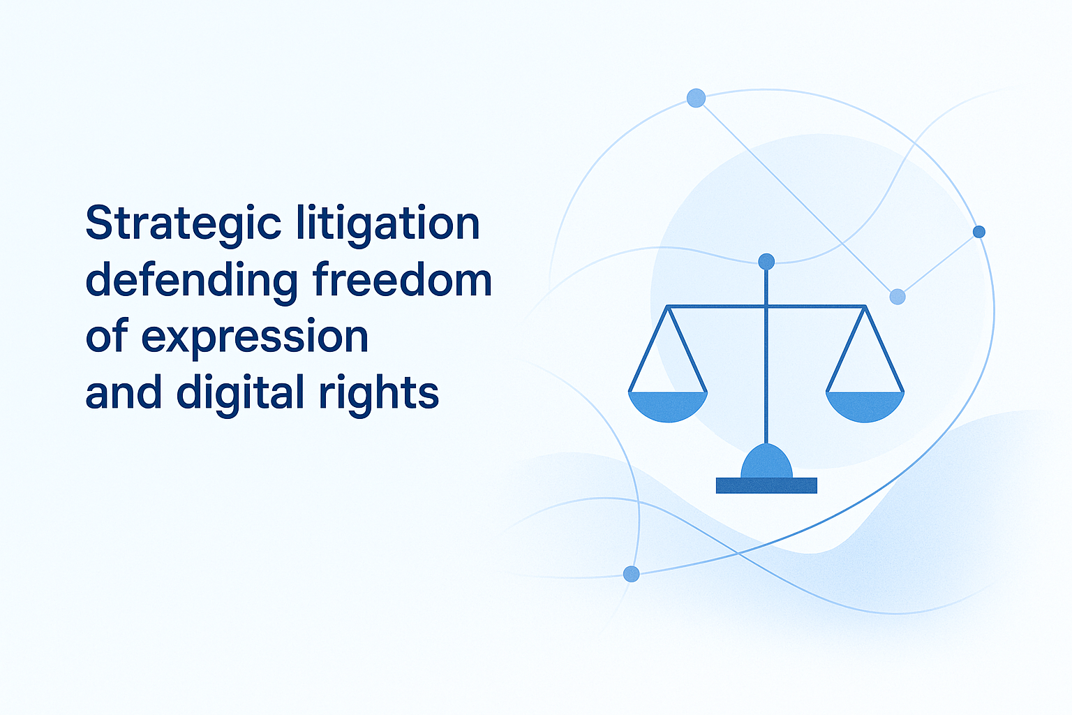 Strategic Litigation Visual